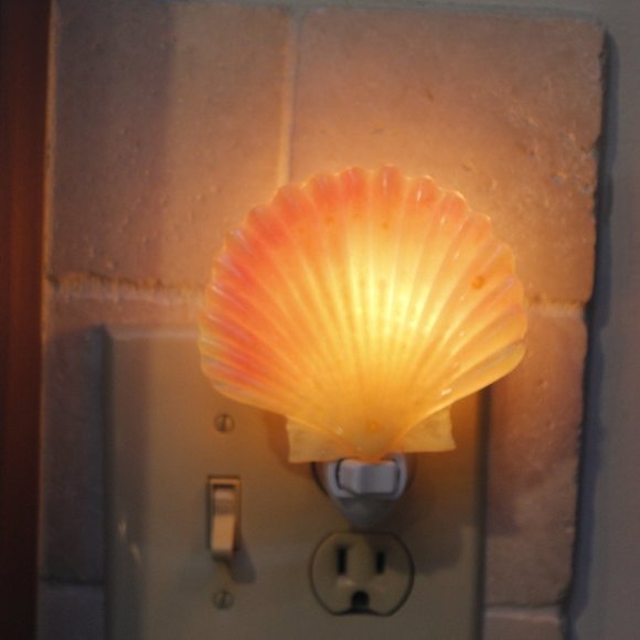 Resin Shell Night Light that Glows in Dark when light is not on - Picture 1 of 4